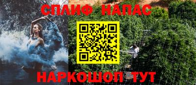 бошки Будённовск